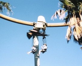 Pteranodon Flyers, Islands of Adventure, Orlando FL