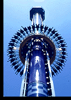 Drop Zone, Paramount's Kings Island, Mason OH