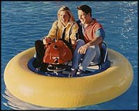 Bumper Boat